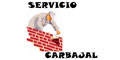 Servicios Carbajal logo