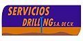 Servicios Drilling Sa De Cv logo