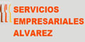Servicios Empresariales Alvarez logo