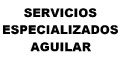 Servicios Especializados Aguilar logo