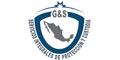 Servicios Integrales De Proteccion Y Custodia G&S Sa De Cv logo