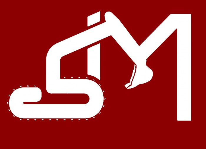 SIMMexico logo