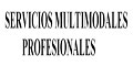 Servicios Multimodales Profesionales logo