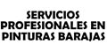 Servicios Profesionales En Pintura Barajas logo