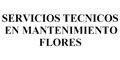 Servicios Tecnicos En Mantenimiento Flores