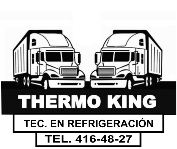 SERVICIOS VILLALBA THERMOKING logo