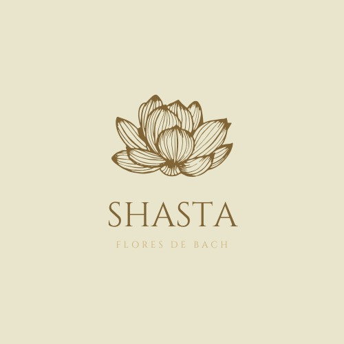SHASTA logo