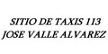 Sitio De Taxis 113 Jose Valle Alvarez