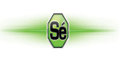 SOFTWARE ENGINEERING logo