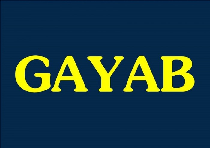 Soluciones Legales GAYAB logo