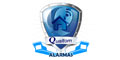 Soluciones Qualtom logo