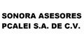 Sonora Asesores Pcalei Sa De Cv logo
