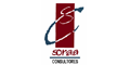SORAA CONSULTORES logo