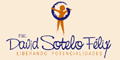 SOTELO FELIX DAVID logo