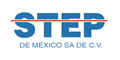 Stepdemexico.Com.Mx logo
