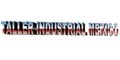 TALLER INDUSTRIAL MEXICO logo