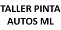 Taller Pinta Autos Ml logo