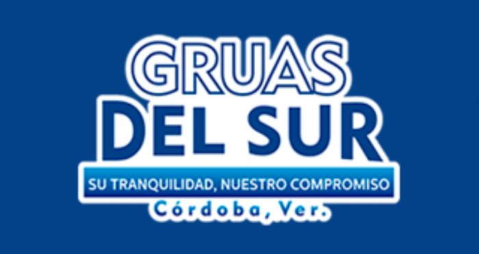 TALLER Y GRUAS DEL SUR logo