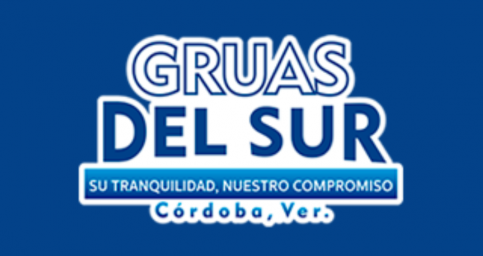 TALLER Y GRUAS DEL SUR