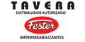 Tavera logo