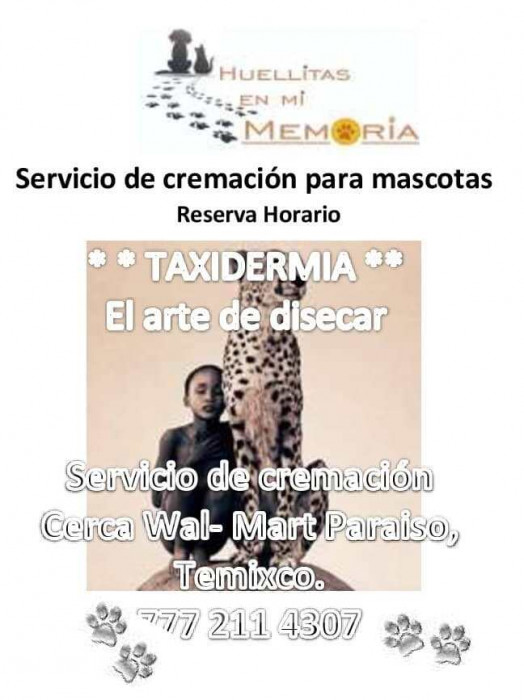 TAXIDERMIA EN CUERNAVACA logo