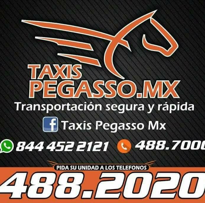 taxis pegasso.mx logo