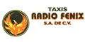 Taxis Radio Fenix