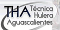 Tecnica Hulera Aguascalientes