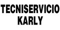 Tecniservicio Karly logo