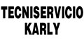 Tecniservicio Karly