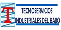 Tecnoservicios Industriales Del Bajio logo