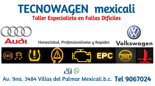 Tecnowagen Meixcali logo