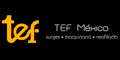 Tef Mexico Sa De Cv logo