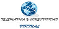 Telematica Y Conectividad Virtual logo