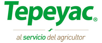 Tepeyac logo