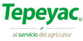 Tepeyac logo