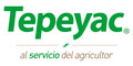 Tepeyac logo