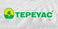 Tepeyac logo