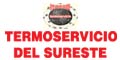 TERMOSERVICIO DEL SURESTE logo