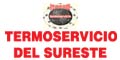 TERMOSERVICIO DEL SURESTE