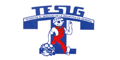 Tesig logo