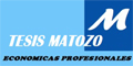 Tesis Matozo Economicas Profesionales logo