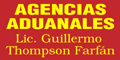 THOMPSON FARFAN GUILLERMO LIC. logo