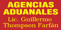 THOMPSON FARFAN GUILLERMO LIC.