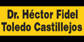 TOLEDO CASTILLEJOS HECTOR FIDEL DR logo