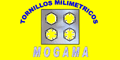 TORNILLOS MILIMETRICOS MOGAMA