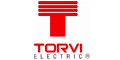 Torvi Ingenieros logo