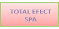 Total Efect Spa logo