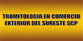 Tramitologia En Comercio Exterior Del Sureste Scp logo