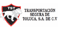 TRANSPORTACION SEGURA DE TOLUCA